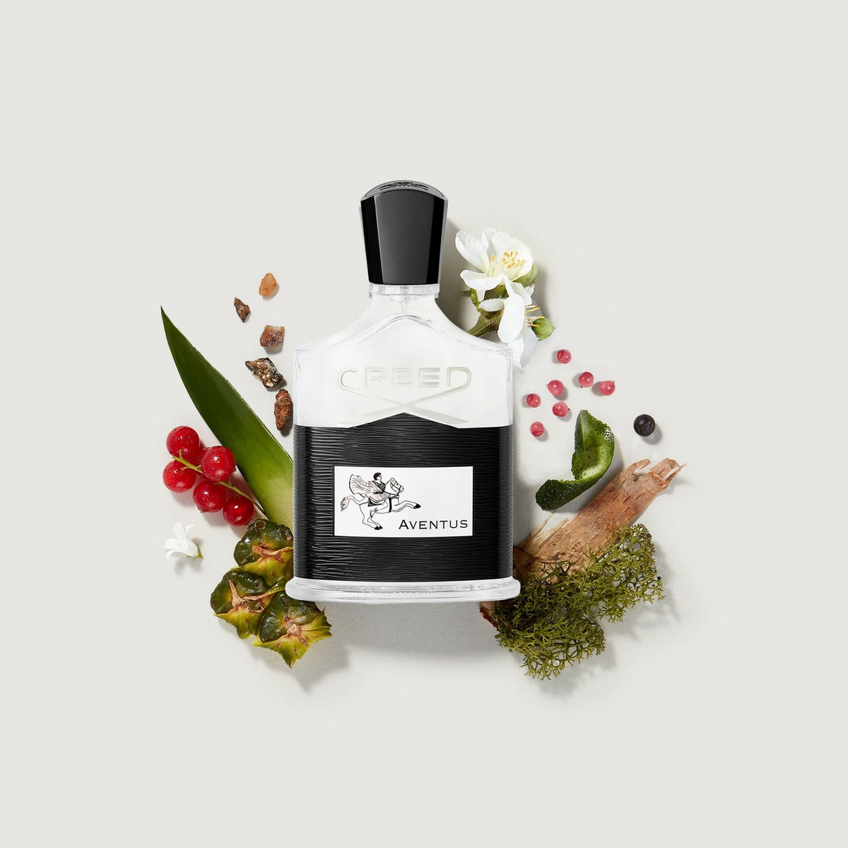CREED AVENTUS Creed