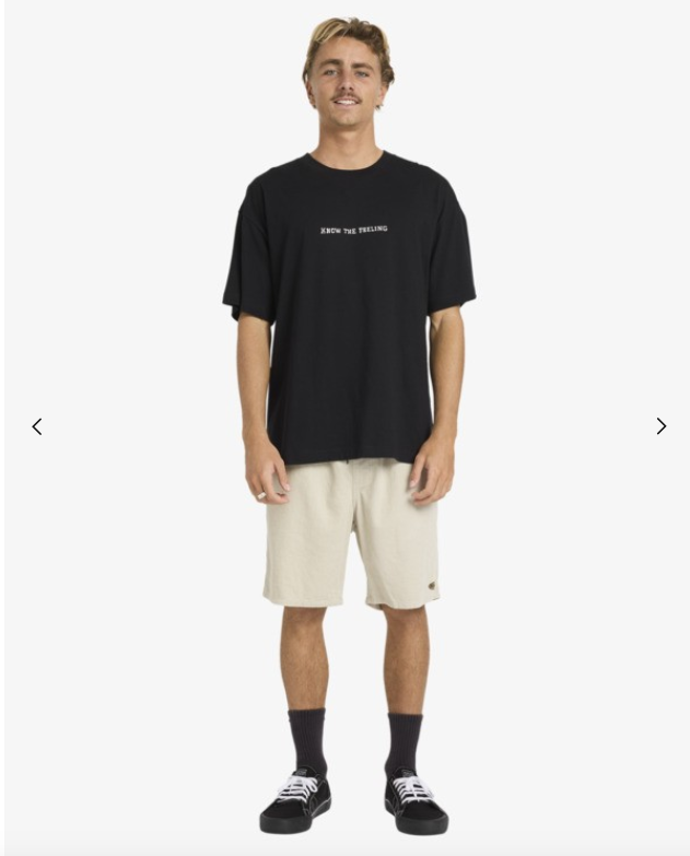 BILLABONG-TSHIRT-TIMELINE