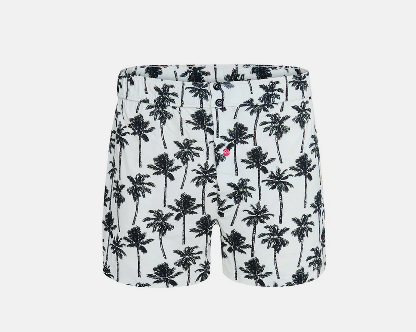 PULLIN-BOXER-PARA
