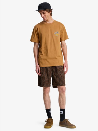 QUIKSILVER-SHORT-JACQUARD