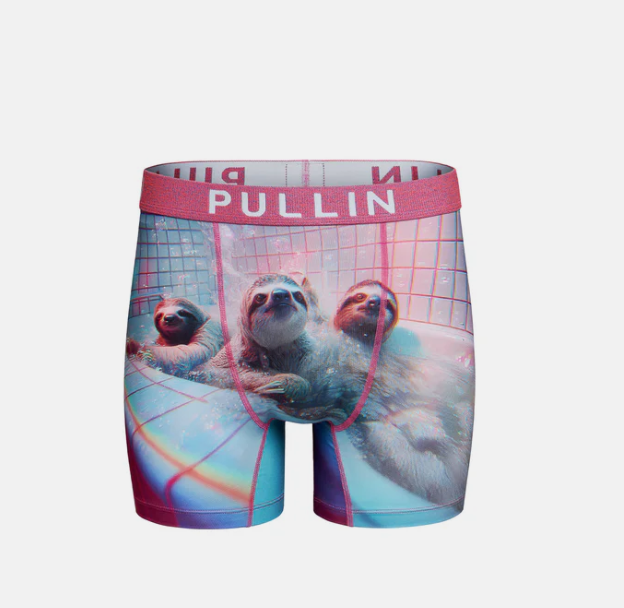 PULLIN-BOXER-DUDES