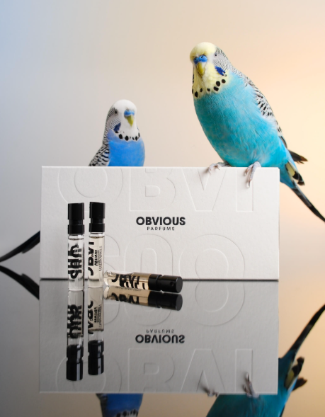 OBVIOUS-KIT-DECOUVERTE
