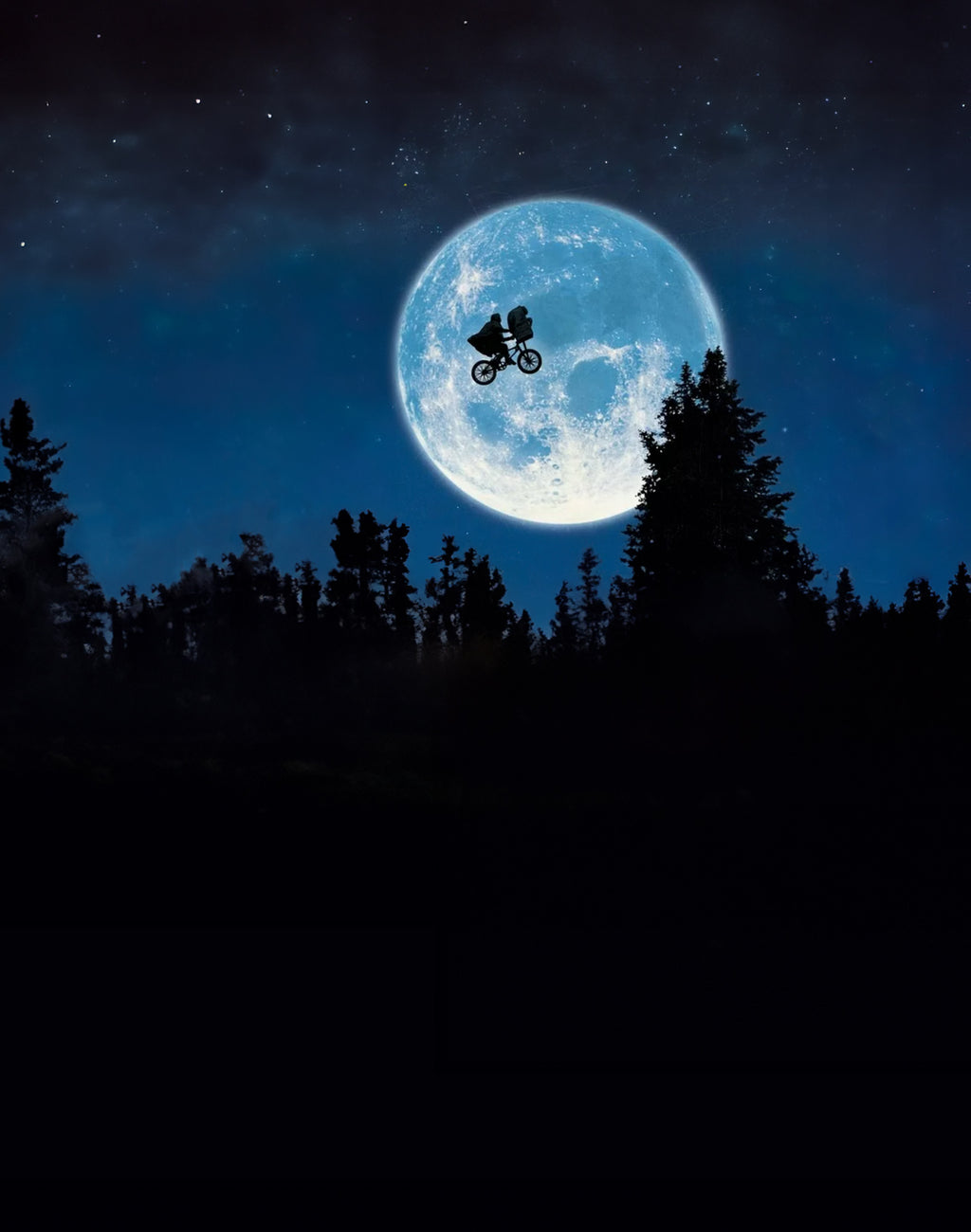 PULLIN-BOXER-BMXPLUS