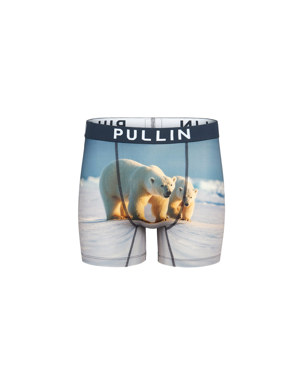 PULLIN-BOXER-MASSIF