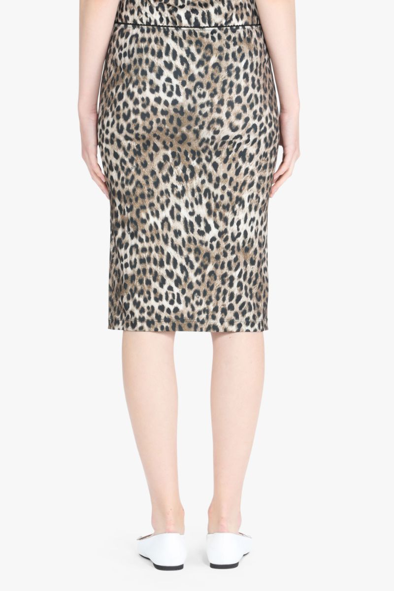 N21-SKIRT-N2M0C091