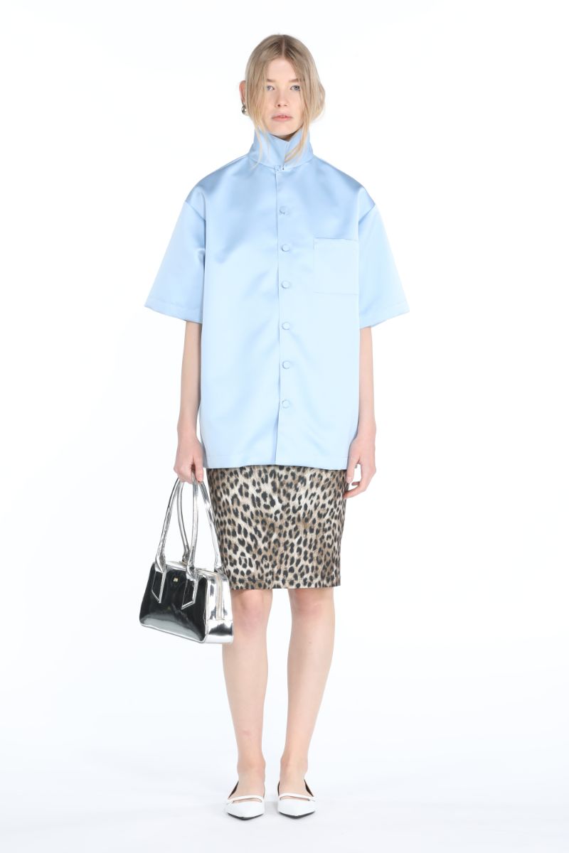 N21-SKIRT-N2M0C091